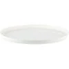 Palm Unbreakable Nonslip Dinner Plate