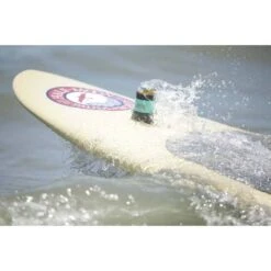 Toadfish Non Tipping Can Cooler Teal -BCF Outdoor Gear BCF 607443 01 teal hi res