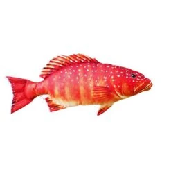 Viva Gaby Coral Trout Fish Pillow 81cm -BCF Outdoor Gear BCF 618241 01 hi res