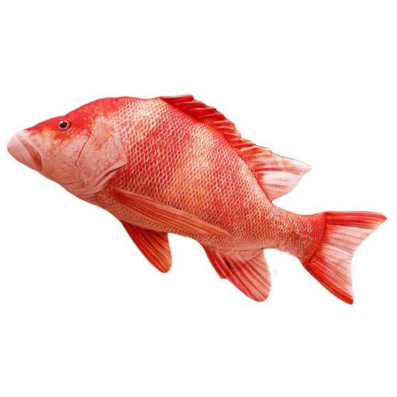 Viva Gaby Red Emperor Fish Pillow 80cm 1 Viva Gaby Red Emperor Fish Pillow 80cm
